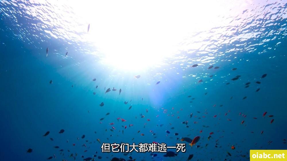 人人人人人人人人干剧照3